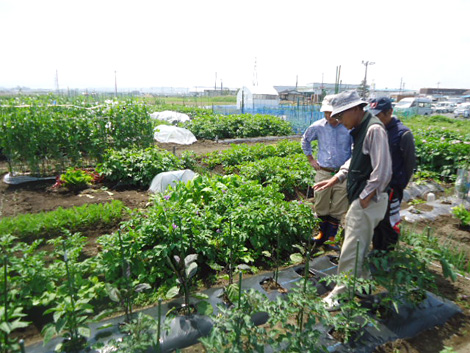 八食農園の様子