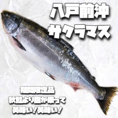 サクラと言えばこの魚！