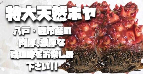 海のパイナップル！！天然ほや入荷です