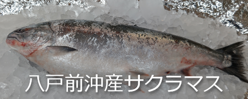 サクラマス入荷しました 坂下商店 ショップニュース 八戸のうまいもんがみんな揃う The市場 八食センター