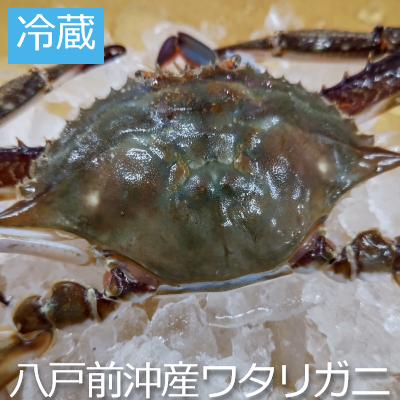 八戸産ワタリガニおすすめですよ！