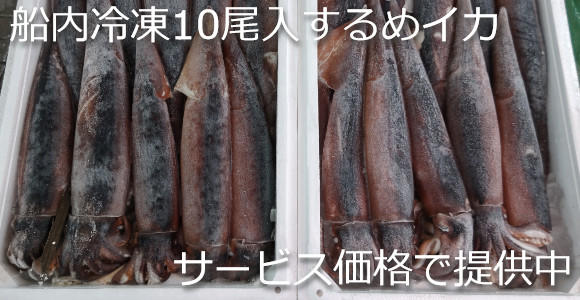 店頭一番人気船内冷凍10尾入冷凍イカ 坂下商店 ショップニュース 八戸のうまいもんがみんな揃う The市場 八食センター 店頭一番人気船内冷凍10尾入冷凍イカ 坂下商店 ショップニュース 八戸のうまいもんがみんな揃う The市場 八食センター