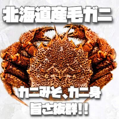 北海道産毛ガニ入荷です！