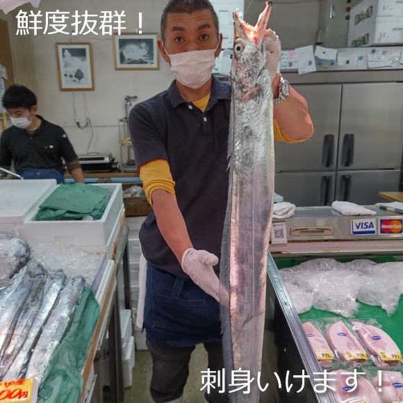 3本限定！1ｋｇ越えの太刀魚