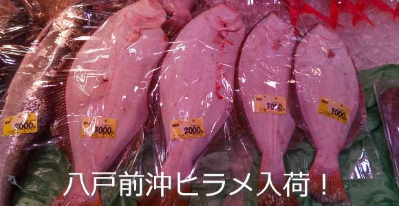 超大物天然ヒラメ入荷ですよ 坂下商店 ショップニュース 八戸のうまいもんがみんな揃う The市場 八食センター