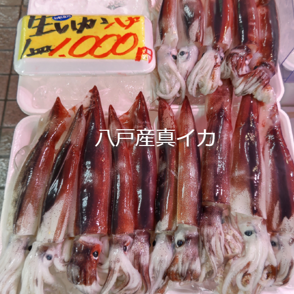 真イカ入荷してますよ 坂下商店 ショップニュース 八戸のうまいもんがみんな揃う The市場 八食センター 真イカ入荷してますよ 坂下商店 ショップニュース 八戸のうまいもんがみんな揃う The市場 八食センター